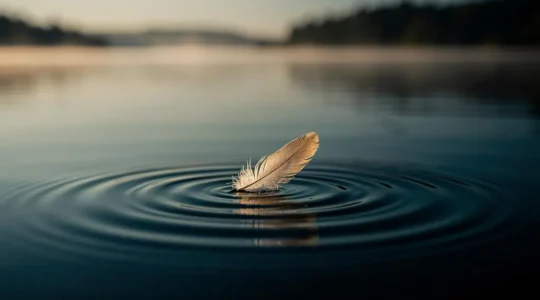 Une plume flottant sur une eau parfaitement calme, symbole visuel de la respiration lente et du calme interieur
